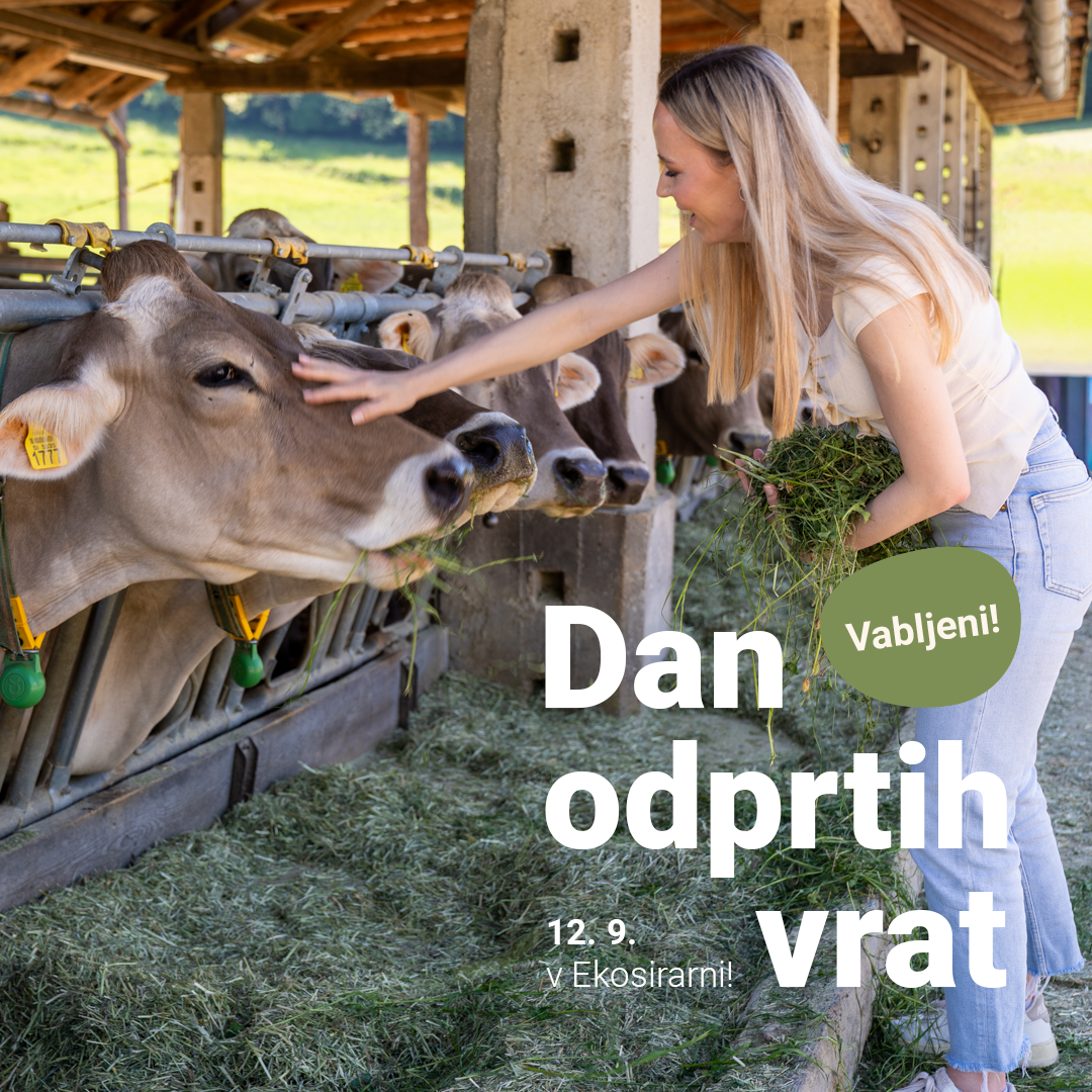 Dan odprtih vrat 2026